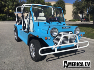 Blue Mokee 4 Passenger Golf Cart affordable golf cart rental, golf cart rental fort myers, golf cart gallery
