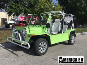 Light Green Mokee 4 Passenger Golf Cart affordable golf cart rental, golf cart rental fort myers, golf cart gallery