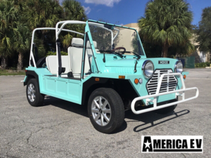 Mint Mokee 4 Passenger Golf Cart affordable golf cart rental, golf cart rental fort myers, golf cart gallery