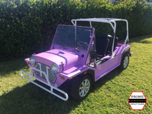 Pink Mokee 4 Passenger Golf Cart affordable golf cart rental, golf cart rental fort myers, golf cart gallery