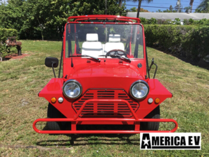 Red Mokee 4 Passenger Golf Cart affordable golf cart rental, golf cart rental fort myers, golf cart gallery