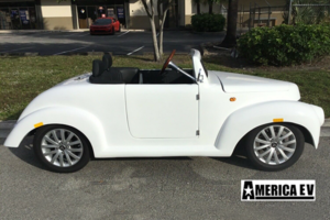 White America EV 39 Roadster 4 Passenger Golf Cart affordable golf cart rental, golf cart rental fort myers, golf cart gallery
